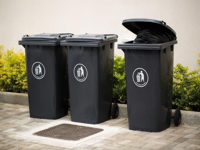 bin-emptying-3