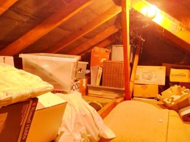 Shed Before Clearance