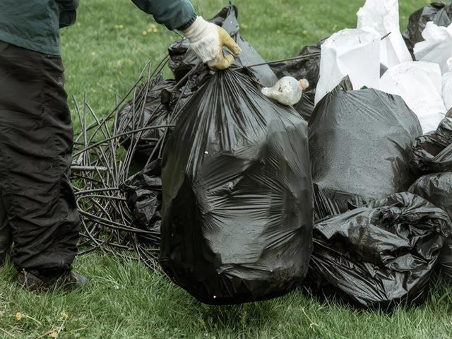 bin-emptying-5