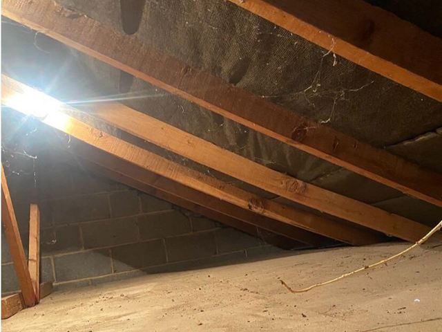 garage-shed-clearance-6