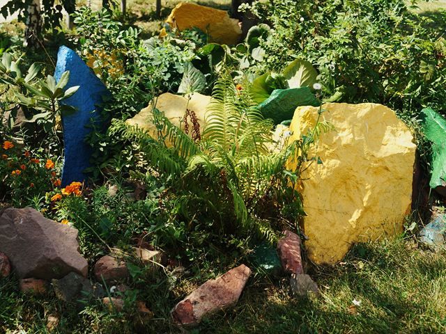 garden-clearance-5