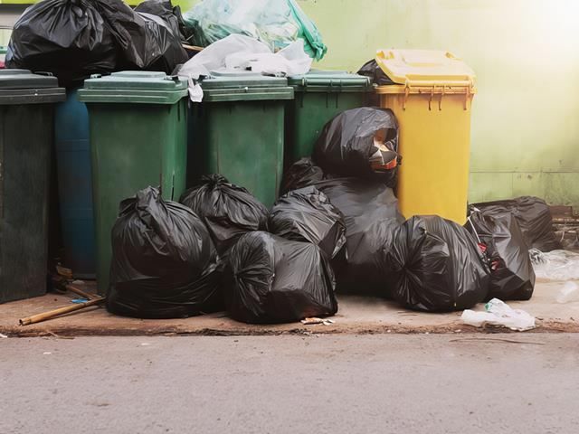 bin-emptying-1