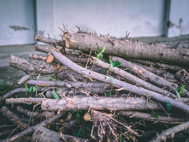 garden-clearance-1