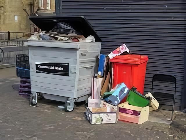 bin-emptying-6